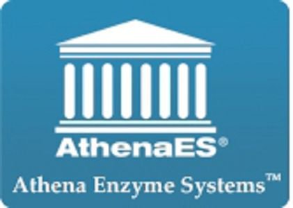Athenaes 