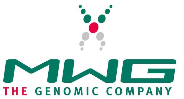 MWG